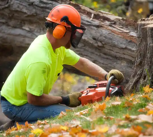 tree services Edmundson